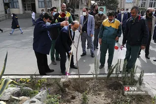 ظیبا