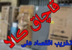 محموله ۶۰ میلیارد ریالی قاچاق در محور شاهرود زمین‌گیر شد