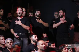 دبب