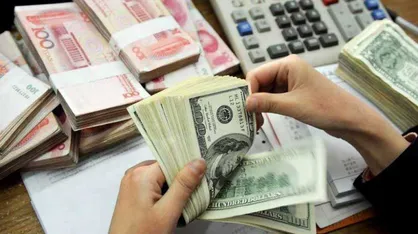 برخی واردکنندگان با ارز دولتی مانند ماهی از دست نهاد&zwnj;های نظارتی فرار می&zwnj;کنند