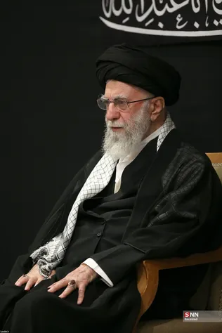 دبب