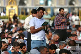 دبب