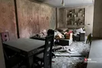 دانشجو