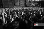 محمود