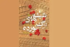 شیشه‌های ترک‌خورده در منزل شهید رونمایی شد