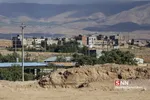 تخریب باغات