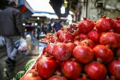 افزایش نظارت و برخورد با تخلفات فروش میوه و تره&zwnj;بار در قزوین