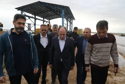 نوری قزلجه: طرح&zwnj;های نیمه&zwnj;تمام کشاورزی دشتستان تکمیل می&zwnj;شود