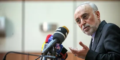 صالحی: اثبات حقانیت کشورمان از طریق قدرت علمی ممکن است