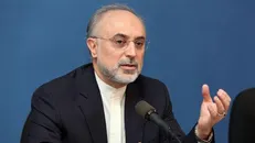 صالحی: در روند بازسازی راکتور اراک جلوتر از حد انتظار بوده‌ایم/ محققین در حال بررسی پیشران‌های هسته‌ای هستند