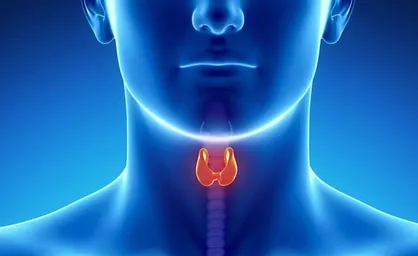 نقش غده تروئید در تنظیم متابولیسم و سلامت روان