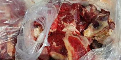 کشف ۵۰۰ کیلوگرم گوشت قرمز غیربهداشتی در شهرستان دورود