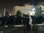 دانشگاه شیراز