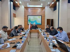 دوستی: تعریف منابع چندگانه اعتباری ضامن پیشرفت پروژه‌های پیشران بوده است