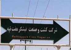 تاکید رئیس قوه قضائیه درباره دولتی بودن مالکیت هفت تپه