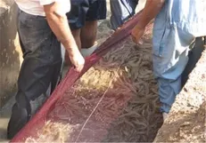 سازمان شیلات در تهران نیرو استخدام می‌کند
