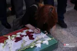 دبب