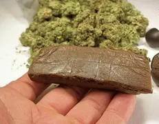 زن قاچاقچی با ۱۰۹ کیلوحشیش دستگیرشد