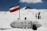 دبب