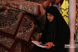 دبب