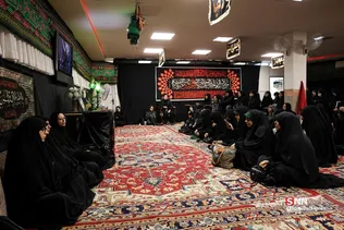 دبب