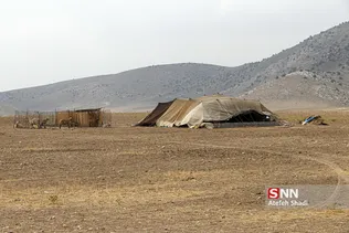 واکسن ذام