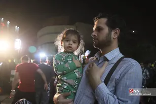 دبب
