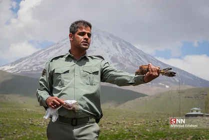 آزاد سازی پرندگان در پارک ملی دشت لار
