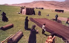 برخورداری ۷۲ درصد عشایر از آب آشامیدنی بهداشتی