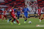 دبب