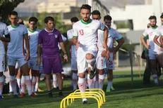 مدافع تراکتور، شاهینی شد
