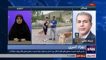یک مقام وزارت بهداشت: هاری درمان ندارد/ سال گذشته ۱۶ نفر بر اثر هاری فوت کردند
