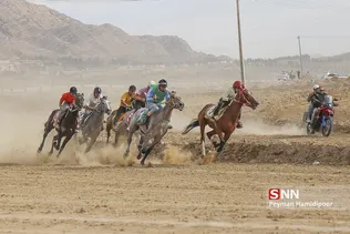 اسب