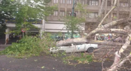 ۲۳ نفر به دلیل حوادث جوی مصدوم شدند