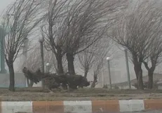 وزش باد شدید و وقوع گرد و خاک در ۷ استان کشور