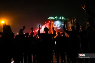 دبب