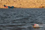 hamidi
