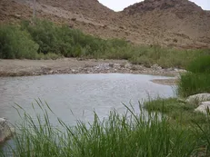 مطالبه حل مشکل آب شرب و کشاورزی شهرستان‌های حوزه هلیل‌رود و جازموریان در کارزار