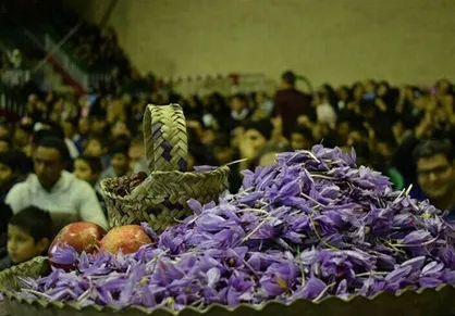 مطالبات زعفران&zwnj;کاران تا پایان سال تسویه می شود