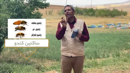 فیلم&zwnj;های آموزشی برکت برای کارآفرینان مناطق محروم/ آموزش صفر تا صد یک شغل به متقاضیان اشتغال