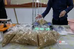 رزمایش مومنانه