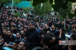 محمود