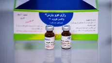 موسسه رازی سالانه ۶ واکسن انسانی تحویل وزارت بهداشت می‌دهد/ واکسن کووپارس در آستانه ورود به فاز سوم