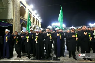 دبب