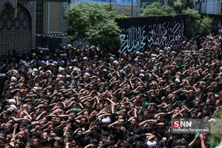 وحید1