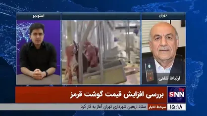 واردات گوشت قرمز منجمد باعث کنترل قیمت&zwnj;ها می&zwnj;شود