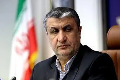 اسلامی: در سازمان انرژی اتمی، مشارکت با بخش خصوصی را کلید زدیم