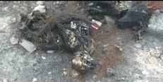 کشته شدن و سوزاندن ۳۰۰ سگ در اهواز کذب است