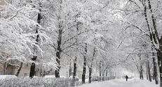 تداوم باران و برف در ۵ روز آینده