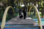 صن
